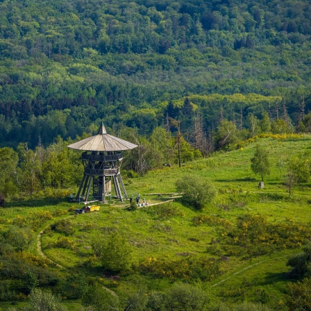 Eggeturm mit Aussichtsplattform auf der Lippischen Velmerstot-Kuppe im Teutoburger Wald in Ostwestfalen.