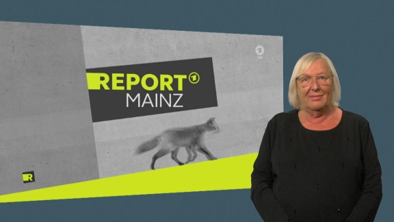 Report Mainz - Report Mainz Vom 13. September 2022 In Gebärdensprache