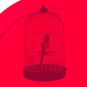 Vogel im Käfig