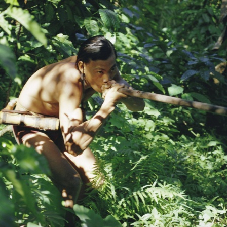 Letzte Regenwald-Nomaden - Eine Suche im Herzen Borneos