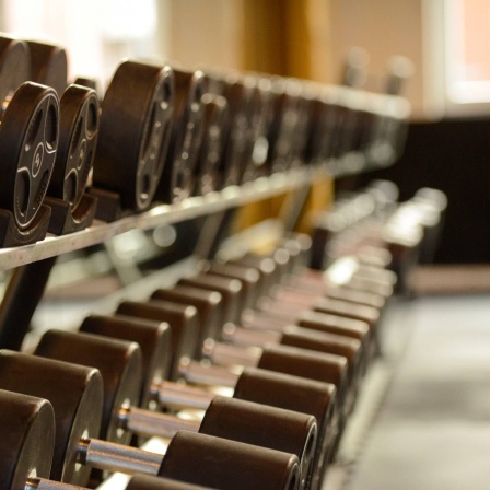 Eine Hantelreihe in einem Fitnessstudio.