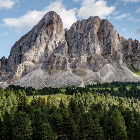 Blick auf einen hohen Berg mit Wald davor.
