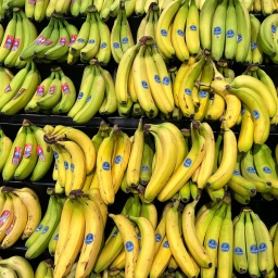 Bananen im Supermarkt