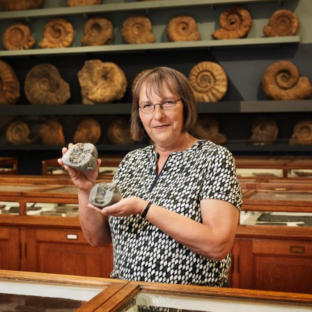 Die Paläontologin Madelaine Böhme steht vor einem Regal mit Fossilien. Sie hält vergrößerte 3D-Modelle von Backenzähnen von Menschenaffen.