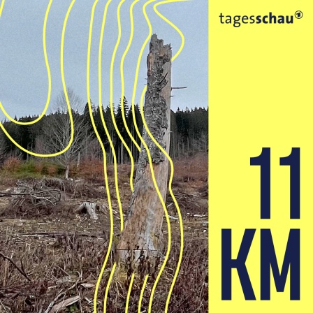 Ein zum Teil abgeholzter Wald in Rumänien. 