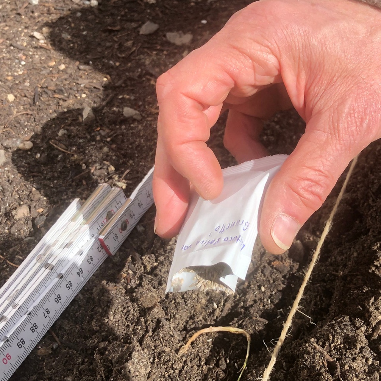 Gartenpodcast Alles Möhre, oder was?! · Beet anlegen Schritt für