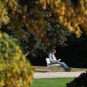 Ein Mann liest auf einer Parkbank hinter herbstlich gefärbten © dpa/ Armin Weigel Bäumen.