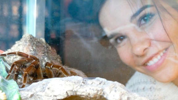 Anna, Paula, Pia Und Die Tiere - Anna Und Die Wilden Tiere: Keine Angst Vor Spinnen