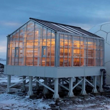 Pflanzenzucht auf dem Mond - Antarktis-Gewächshaus EDEN ISS startet neue Mission