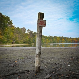 Das Schild Baden verboten steht an der südlichen Spitze des Straussees längst auf dem Trockenen. © picture alliance/dpa | Patrick Pleul 