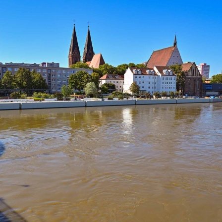 Oder in Frankfurt führt mehr Wasser als gewöhnlich