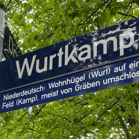 Ein Straßenschild mit der Aufschrift "Wurtkamp". Darunter: ein weiteres Schild, das den plattdeutschen Namen erklärt.