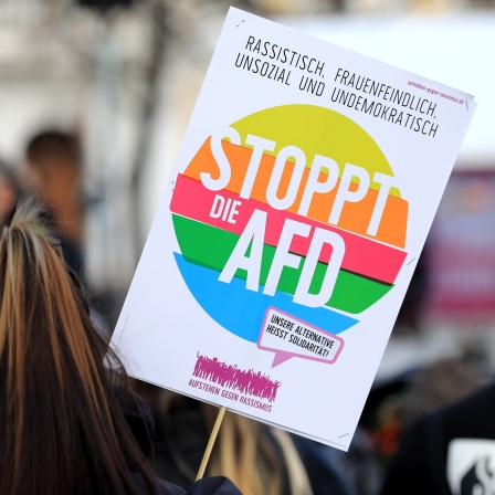Teilnehmer mit Anti AfD-Plakaten bei einer Gegendemonstration 