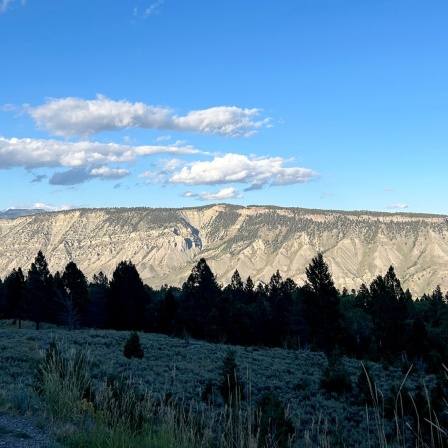 Natur in Montana: Berge, Wolken und viele Bäume