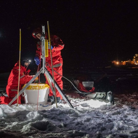 Drei Forschende entnehmen in der Polarnacht Proben an einem Loch im Eis, im Hintergrund die "Polarstern"