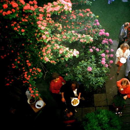 Private Grillparty in einem Garten