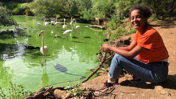 Anna, Paula, Pia Und Die Wilden Tiere - Wie Rosa Ist Der Flamingo.