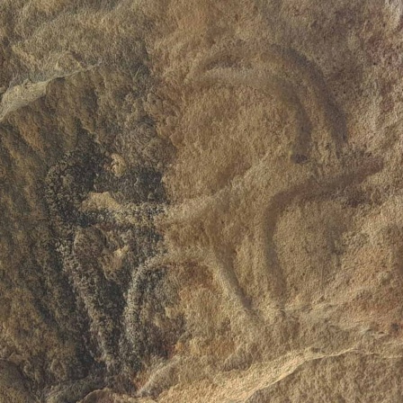 Aserbaidschan: Felsenmalerei aus der Steinzeit (Bild: rbb/Oliver Soos)