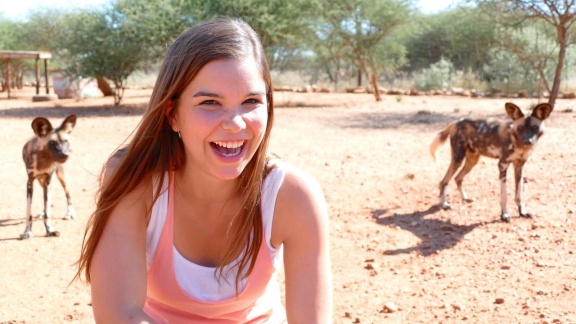 Anna, Paula, Pia Und Die Wilden Tiere - Bunt Wie Ein Wildhund