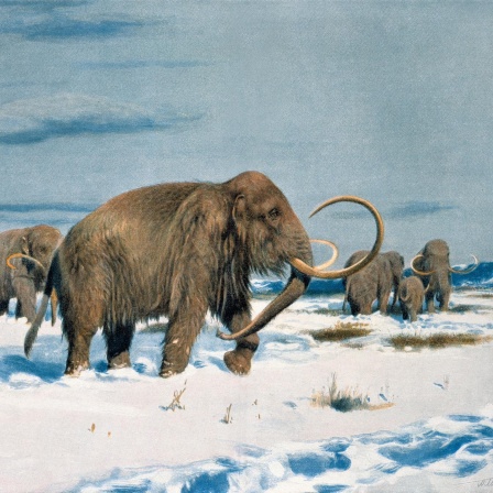 Mammut & Co - Die Megafauna der letzten Eiszeit