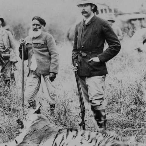 Erzherzog-Thronfolger Franz Ferdinand von Österreich-Este mit einem erlegten Tiger in Indien.