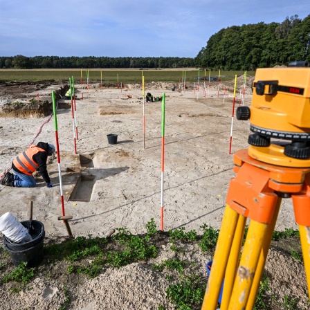 Grabungsarbeiten am Königsgrab von Seddin in der Prignitz