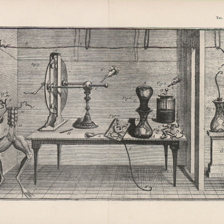 Experiments with Frog Legs by Luigi Galvani (1737-1789), Tav., I, Zucchini, Guido (fec.), 1791. Archivfoto