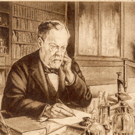 Der französische Chemiker und Mikrobiologe Louis Pasteur in seinem Labor (zeitgenössischer Stich)