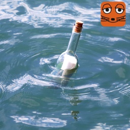 Flaschenpost im Wasser