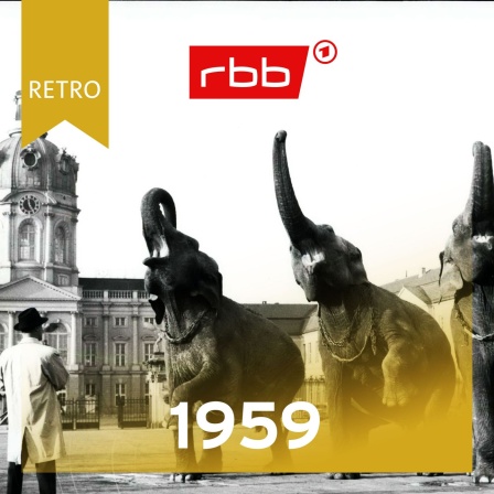 Elefanten vor den Schloss Charlottenburg / rbb Retro 1959