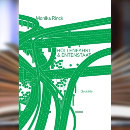 Buchcover: "Höllenfahrt & Entenstaat" von Monika Rinck