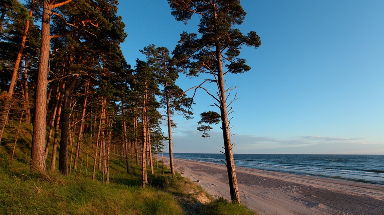 Wildes Baltikum · Die Küste