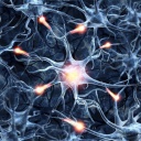 Abbildung von Neuronen auf einem farbigen Hintergrund