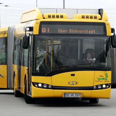 Ein Bus der Dresdner Verkehrsbetriebe
