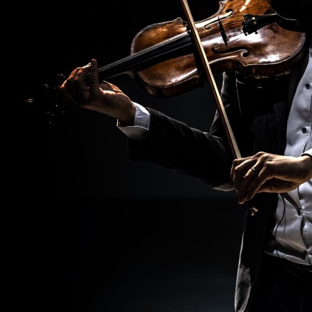 Das Symphonieorchester - Der klassische Klangkörper