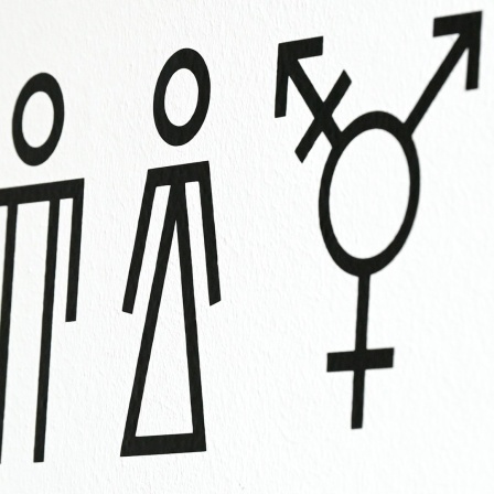 Piktogramme weisen auf Toiletten für Männer, Frauen und Allgender/Transgender hin.