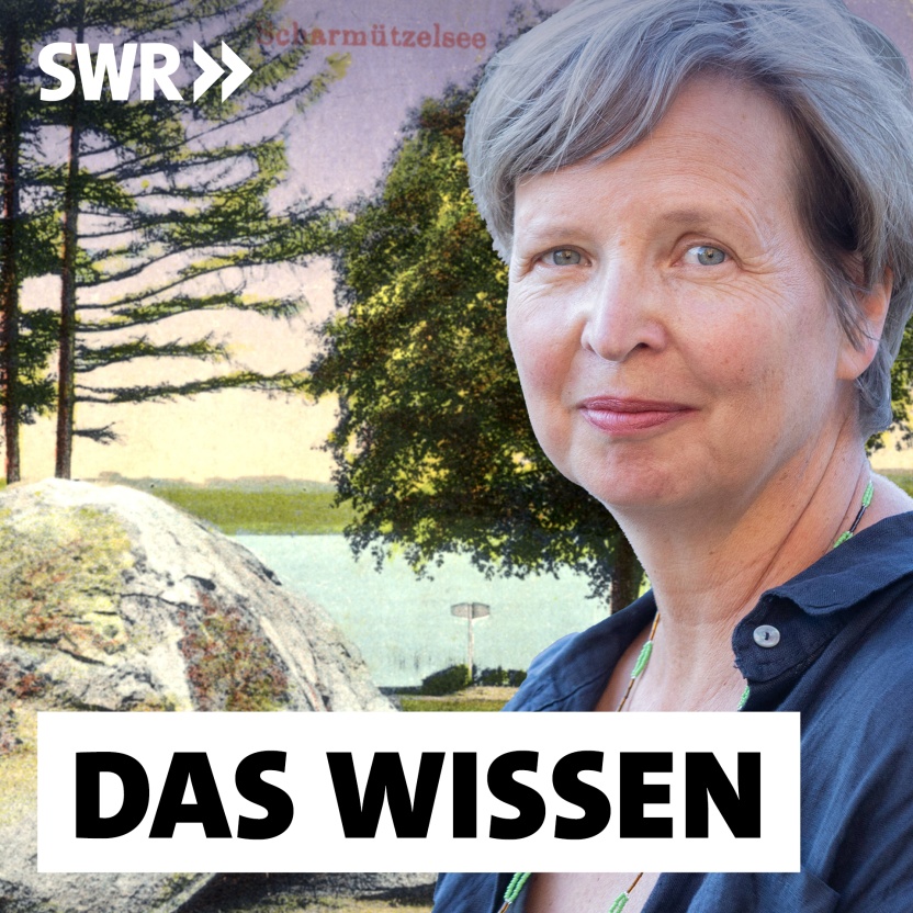 Cover: Jenny Erpenbeck: "Heimsuchung" – Sternchenthemen im Deutsch-Abitur 2026