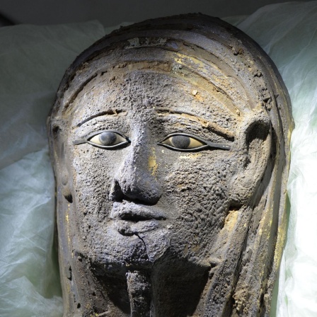 Ägyptermaske von Sakkara, Analyse von Chemiewaffen, Flächenfraß eindämmen, Sprache und Bewusstsein