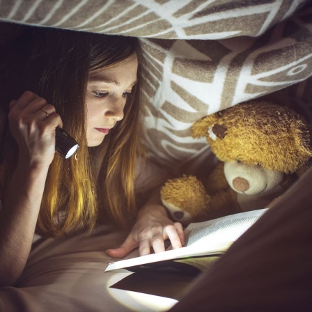 Mädchen liest mit Taschenlampe unter der Bettdecke. Neben ihr sitzt ein Teddy.