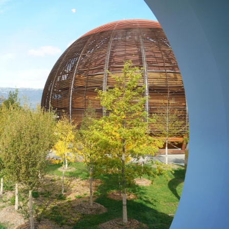 Kugelfärmiges Gebäude aus gebogenen Holzstreben, im Vordergrund sind Berge, im Hintergrund Bäume zu sehen.