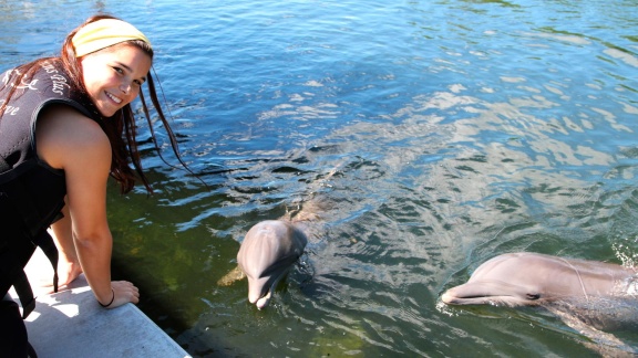 Anna, Paula, Pia Und Die Wilden Tiere - Wie Pupst Der Delfin.