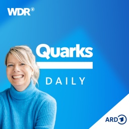 Quarks Daily Schriftzug