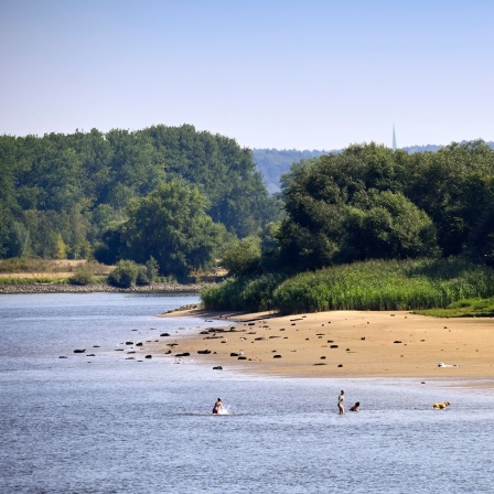 Elbstrand bei Niedrigwasser auf Höhe von Altengamme, Hamburg.