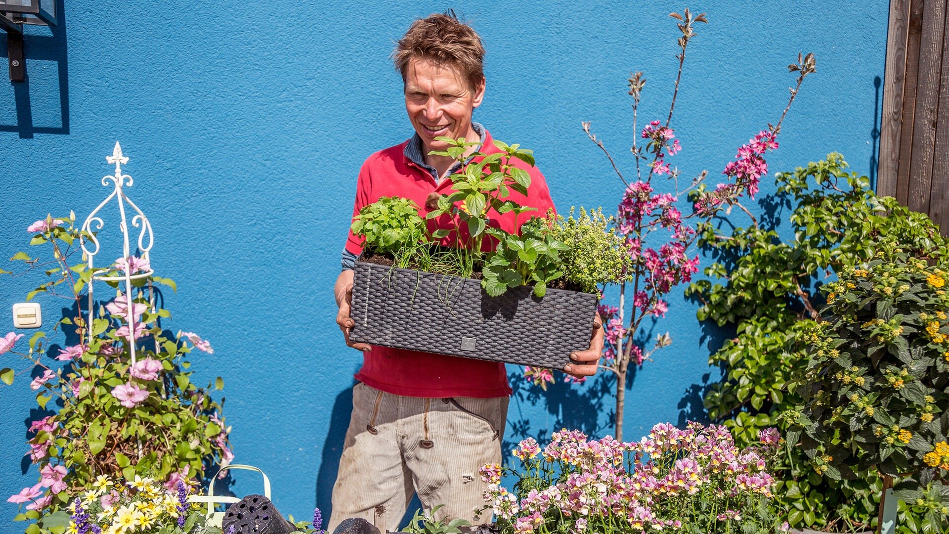 Rasch durch den Garten Balkonpflanzen, Hügelbeet und Gartenmöbel