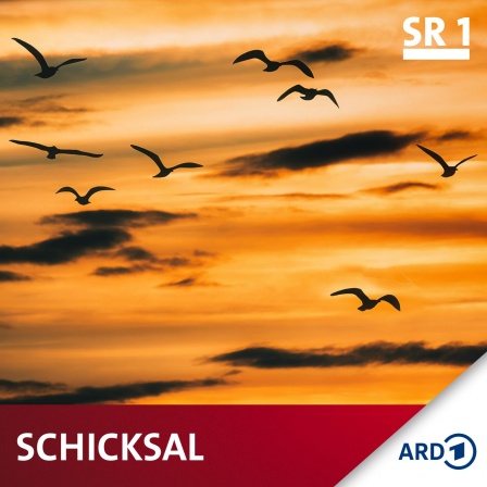 Schicksal - der SR1-Podcast über das Leben