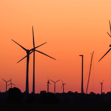 Der Morgenhimmel leuchtet vor Sonnenaufgang über der Landschaft mit Windenergieanlagen in Leuben (Brandenburg). 