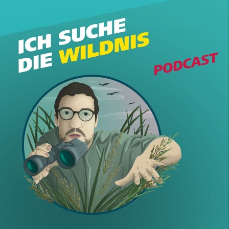 Covergrafik zur Podcast-Folge von "Meine Challenge": Ich suche die Wildnis. Die Illustration zeigt einen jungen Mann, der mit einem Fernglas in der Hand durch hohes Gras streift. Daneben der Schriftzug: Ich suche die Wildnis.