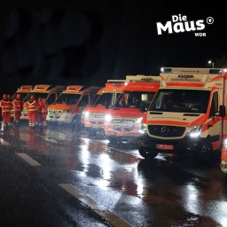 Mehrere Krankenwagen bei Nacht am Straßenrand