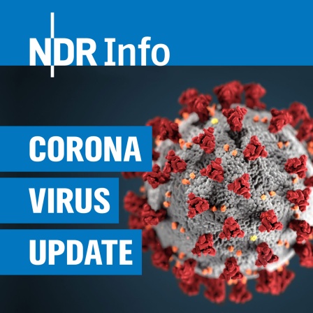 Das Coronavirus