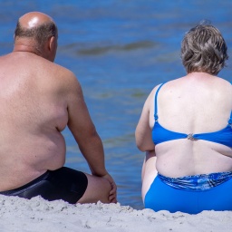 Zwei übergewichtige Erwachsene sitzen am Strand und schauen aufs Wasser.